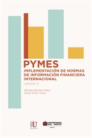 Pymes : implementación de normas de información financiera internacional (grupo 2) cover image