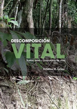 Cover image for Descomposición vital