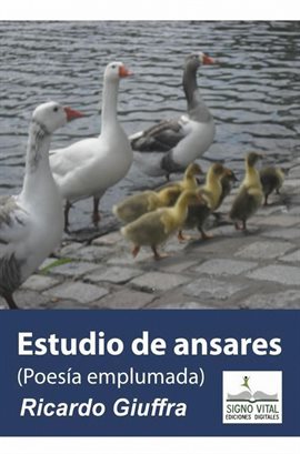 Cover image for Estudio de Ansares