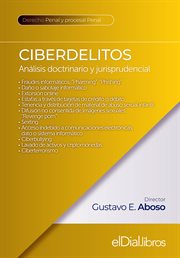 Ciberdelitos cover image