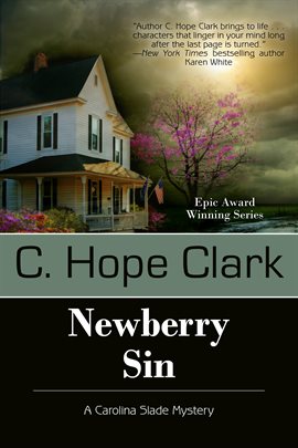 Cover image for Newberry Sin