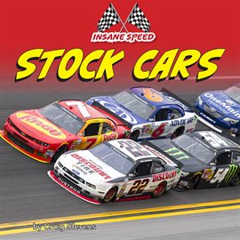 Cover image for Stock Cars