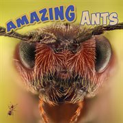 Amazing ants cover image