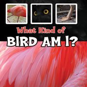 What kind of bird am i? cover image