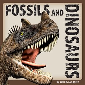 Cover image for Fossils and Dinosurs