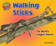 Walking Sticks : The World's Longest Insects cover image