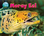 Moray Eel : Deep End: Animal Life Underwater cover image