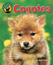 Coyotes : Wild Canine Pups cover image