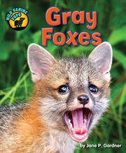 Gray Foxes : Wild Canine Pups cover image