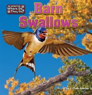 Barn Swallows : In Winter, Where Do They Go? cover image