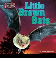 Little Brown Bats : In Winter, Where Do They Go? cover image