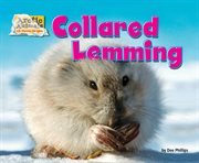 Collared Lemming : Arctic Animals: Life Outside the Igloo cover image