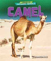 Camel cover image