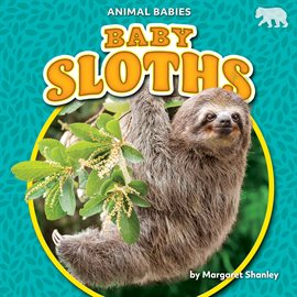 Cover image for Baby Sloths