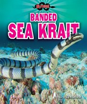 Banded sea krait cover image