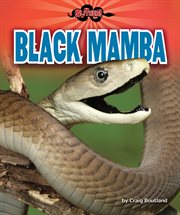Black mamba cover image