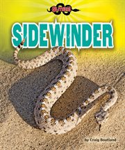 Sidewinder cover image