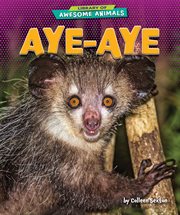 Aye-aye cover image