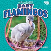 Baby flamingos cover image