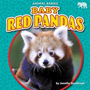 Baby red pandas cover image