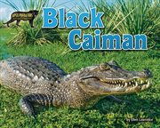 Black caiman cover image