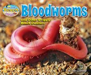 Bloodworms and Other Wriggly Beach Dwellers : Day at the Beach: Animal Life on the Shore cover image