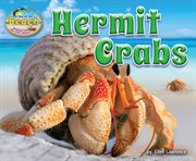 Hermit Crabs : Day at the Beach: Animal Life on the Shore cover image