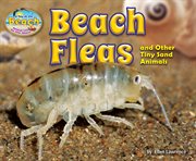 Beach Fleas and Other Tiny Sand Animals : Day at the Beach: Animal Life on the Shore cover image