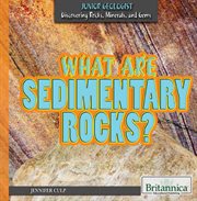 What Are Sedimentary Rocks? cover image