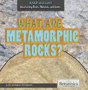 What Are Metamorphic Rocks? cover image