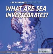 What are sea invertebrates? cover image