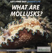 What are mollusks? cover image