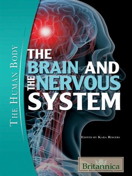 Cover image for The Brain and the Nervous System