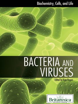 Cover image for Bacteria and Viruses