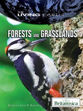 Umschlagbild für Forests and Grasslands