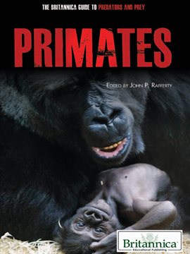 Umschlagbild für Primates