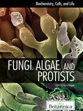 Cover image for Fungi, Algae, and Protists
