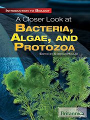 A closer look at bacteria, algae, and protozoa cover image