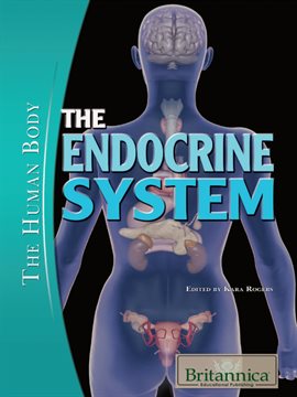Umschlagbild für The Endocrine System