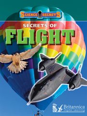 Secrets of Flight cover image
