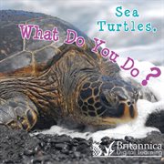 Sea Turtles, What Do You Do? cover image