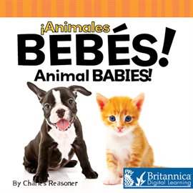 Cover image for Animales bebés (Animal Babies)