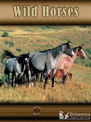Wild Horses cover image