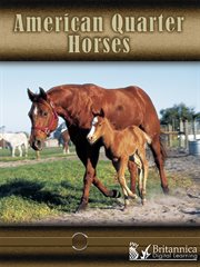 American Quarter Horses cover image