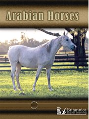 Arabian Horses cover image