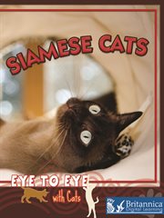 Siamese Cats cover image