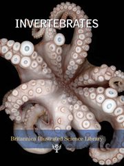 Invertebrates cover image