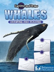 Whales, drawing and reading cover image