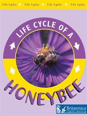 Honeybee cover image