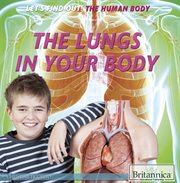 The lungs in your body cover image